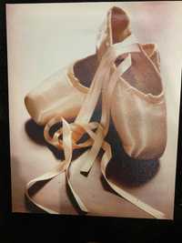 Obraz na płótnie baletki baletnica balet puenty