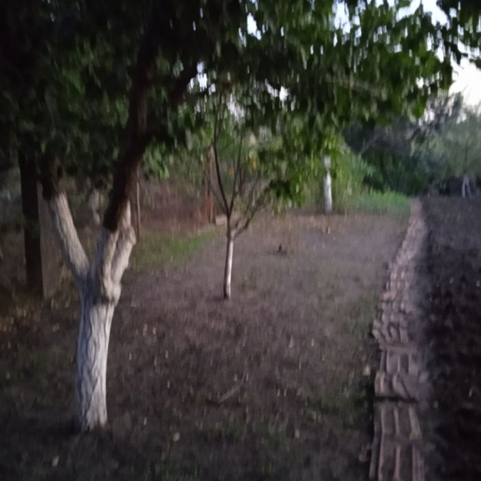 2-х кімната квартира в центрі селища Веселинове