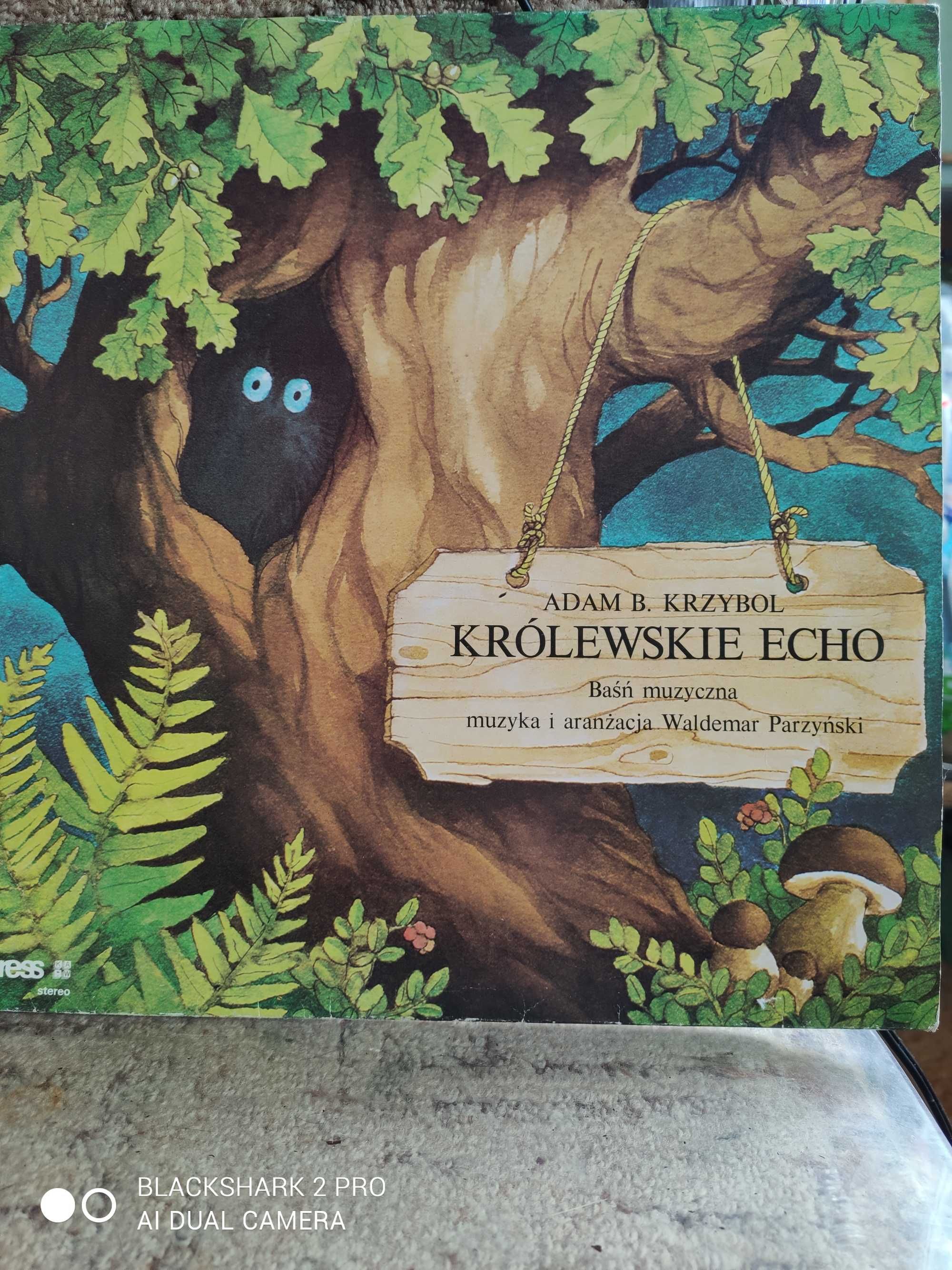 Królewskie echo - baśń na taśmie