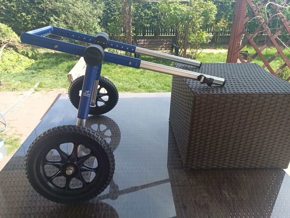 Wózek rehabilitacyjny dla psa na niedowład łap tylnych