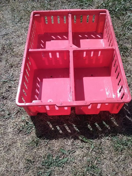 Sprzedam skrzynki do transportu drobiu