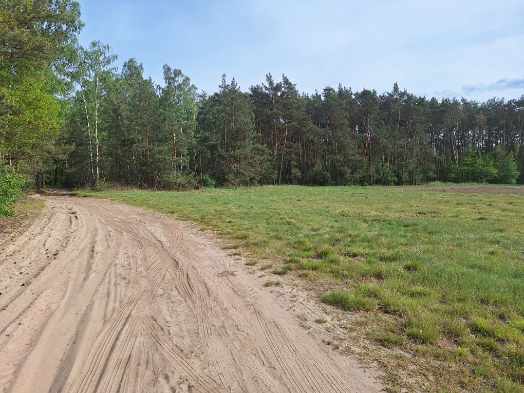 Sprzedam działkę budowlaną pod lasem Siedlątków