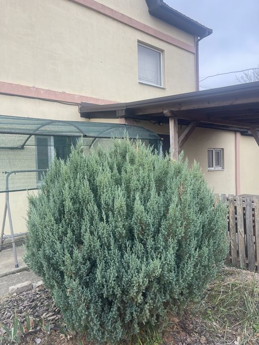 Продаж заміського будинку 7 км від Миколаєва