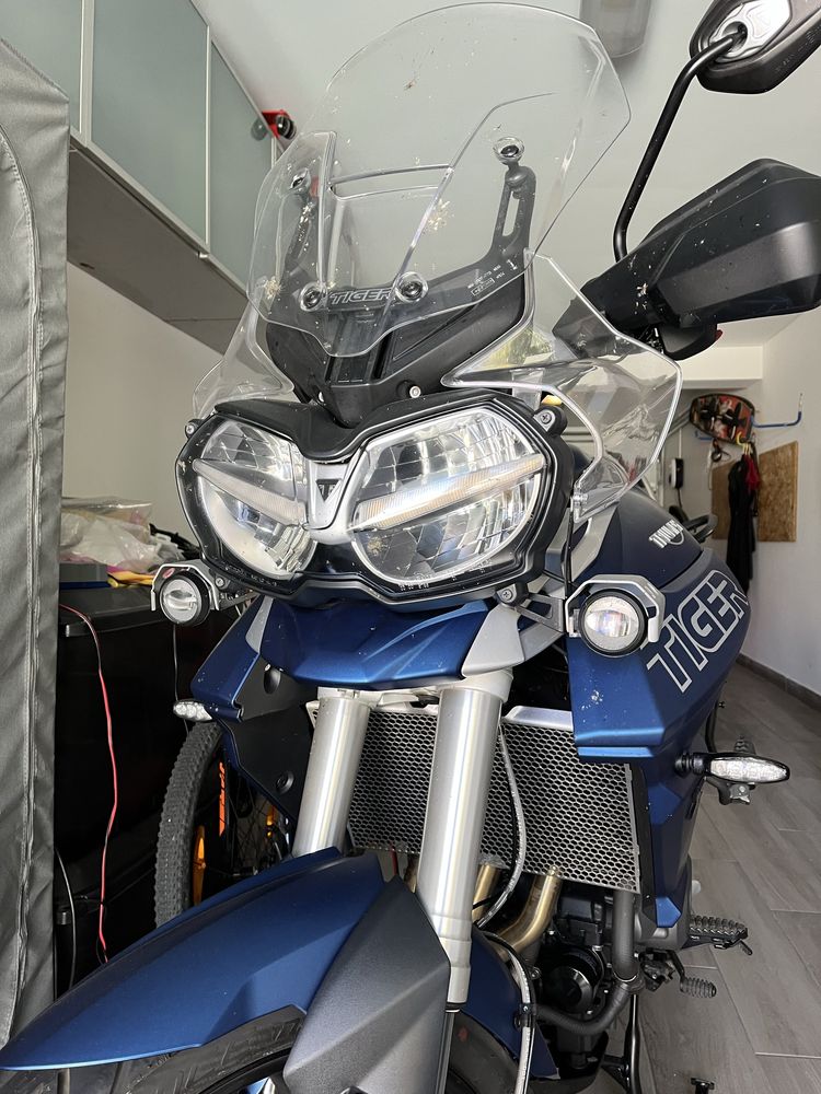 Triumph Tiger  800 - -95 cv