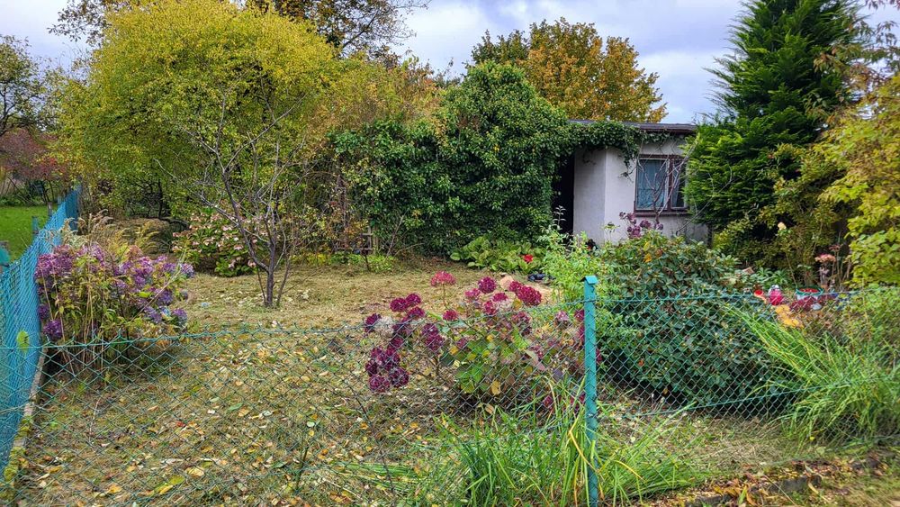 Działka ogrodnicza ROD M. Reja, Gdynia Obłuże