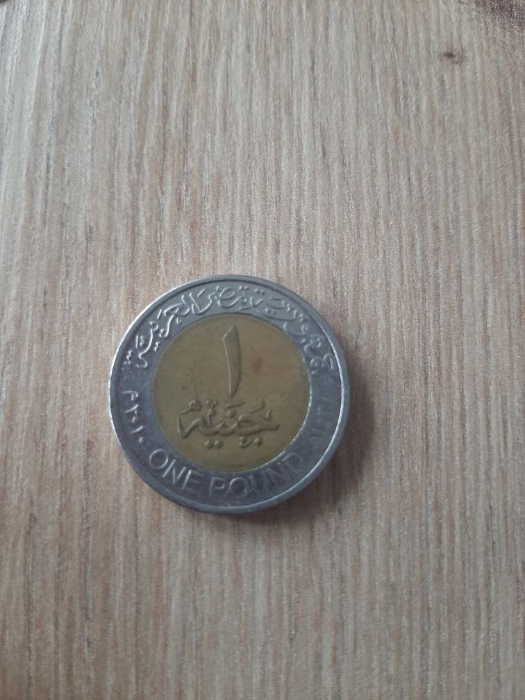 Moneta One Pound Egipt