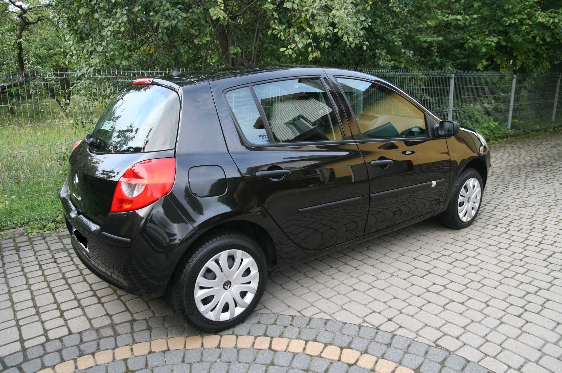 Renault Clio Zadbany