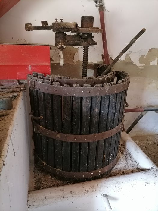 Esmagador desengacador de uva