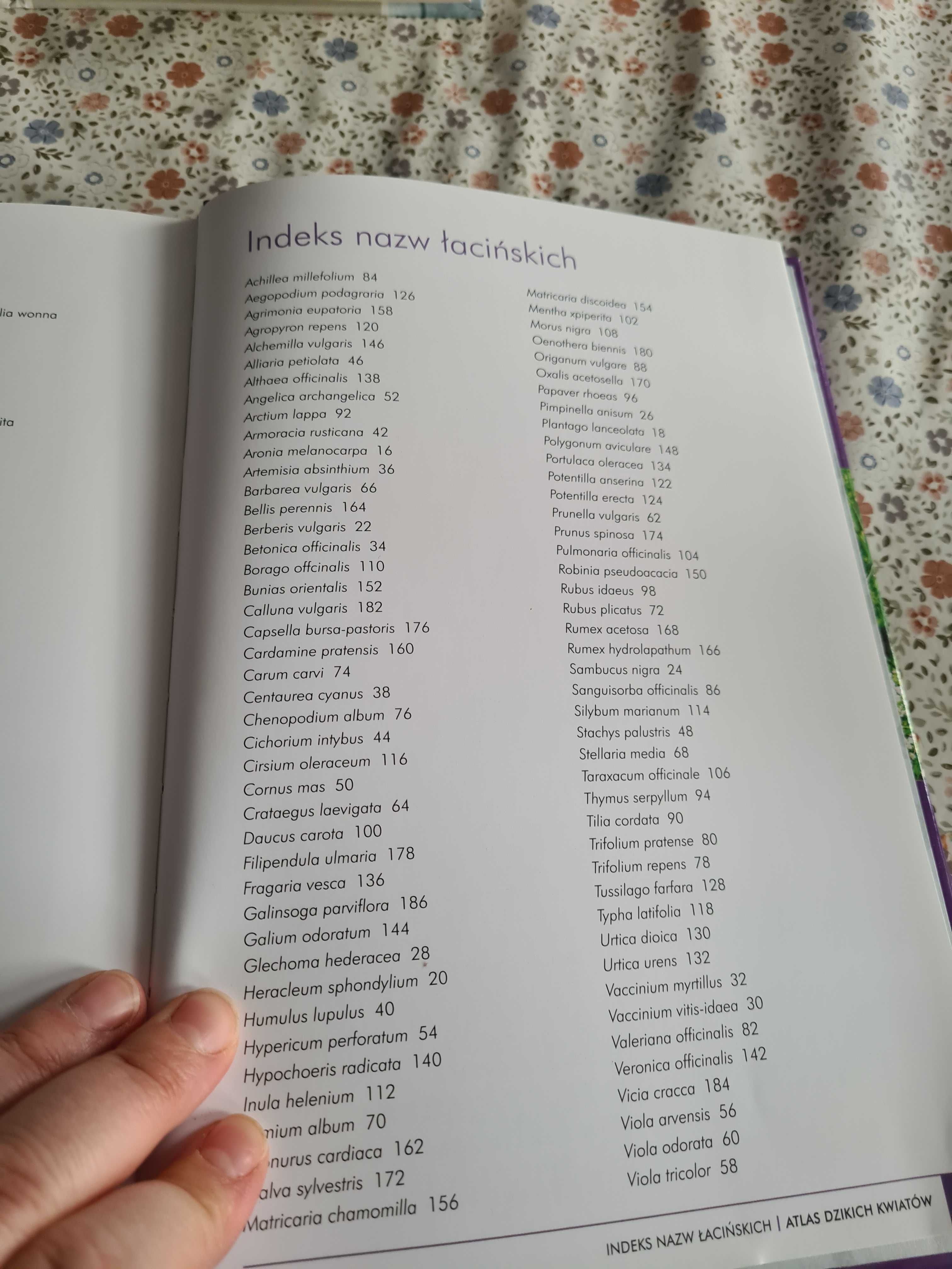 Atlas dzikich kwiatow  rosliny lecznicze i kulinarne