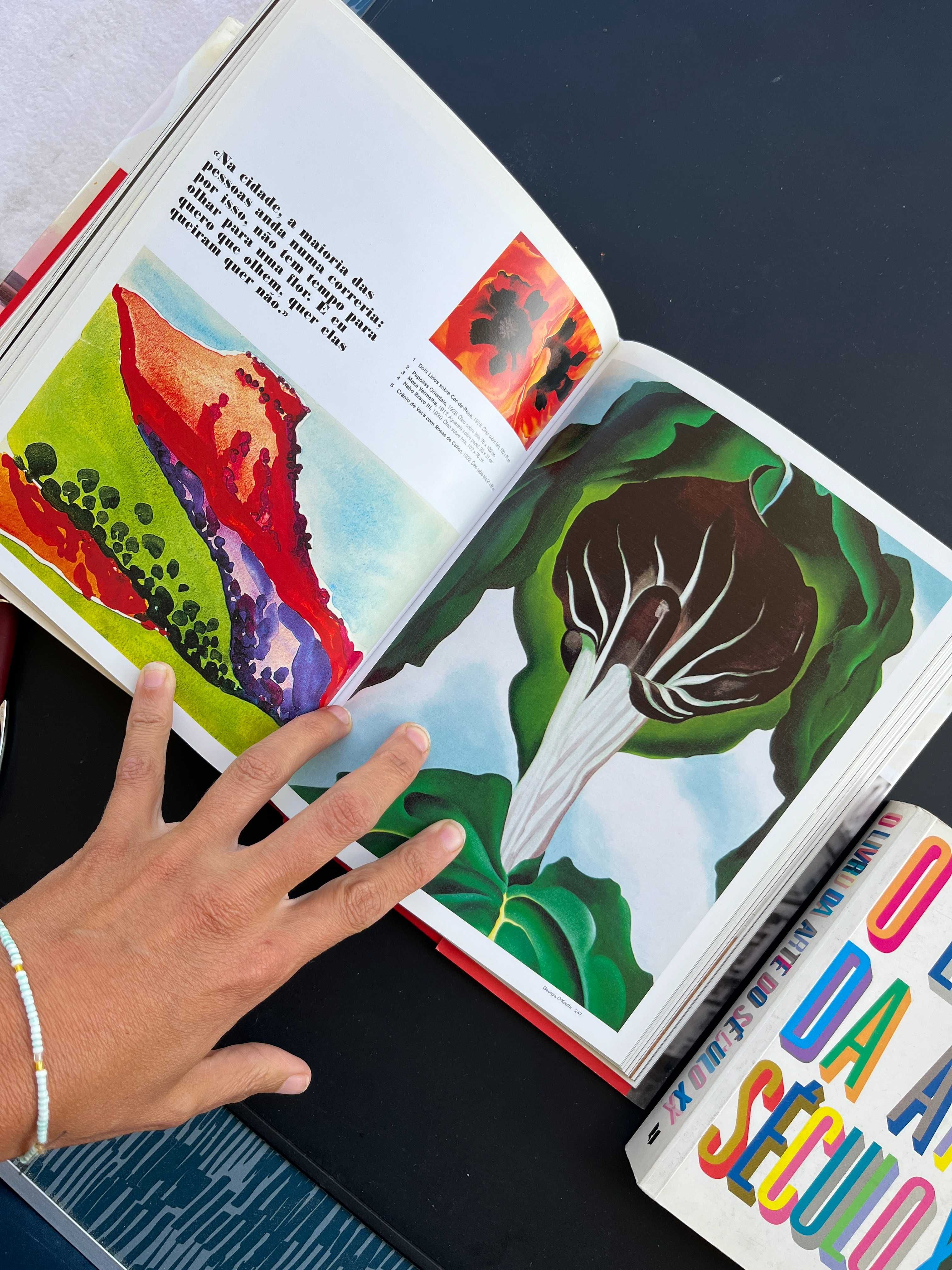 Livros de Arte e Pintura – Técnicas, História e Artistas