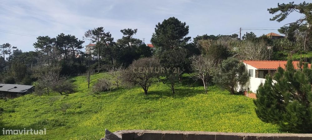 Terreno misto com viabilidade construtiva até 500m2 - Buarcos, Figueir