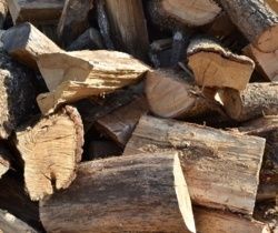 Продаж дров різного виду з доставкою