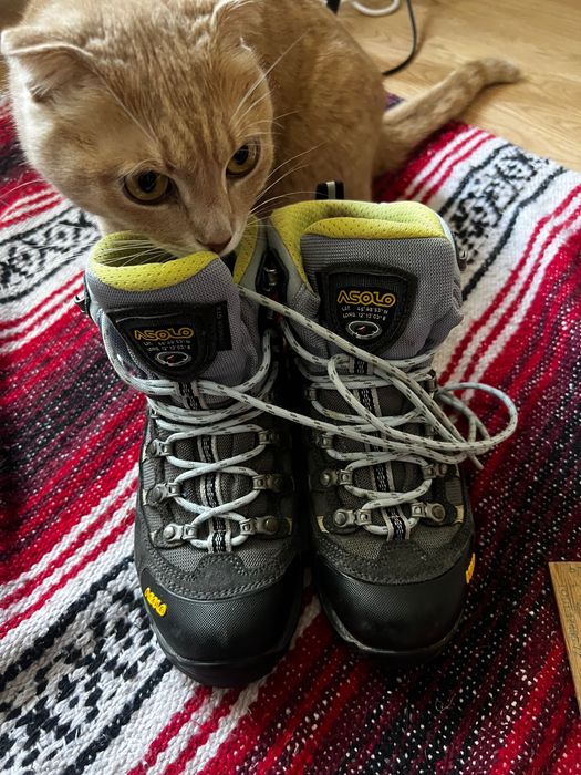 Трекінгове взуття Asolo(24,5 см, Gore-tex)