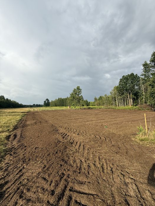 Mulczer leśny Czyszczenie działek mulczerem | Wycinka drzew