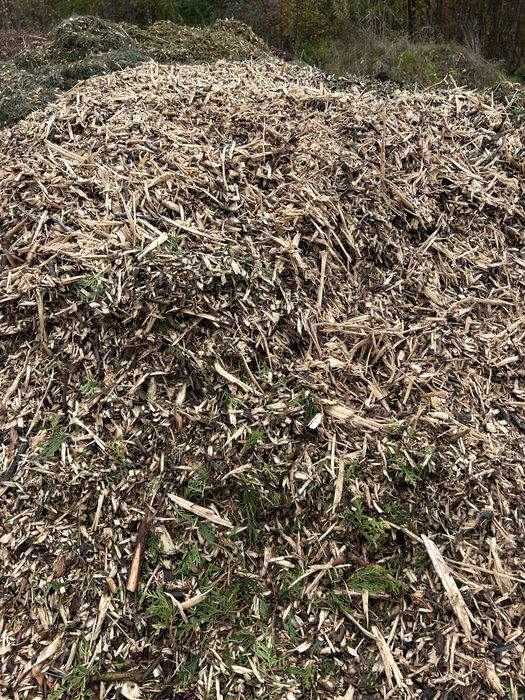 Zrębka liściasta/ iglasta/ mieszana