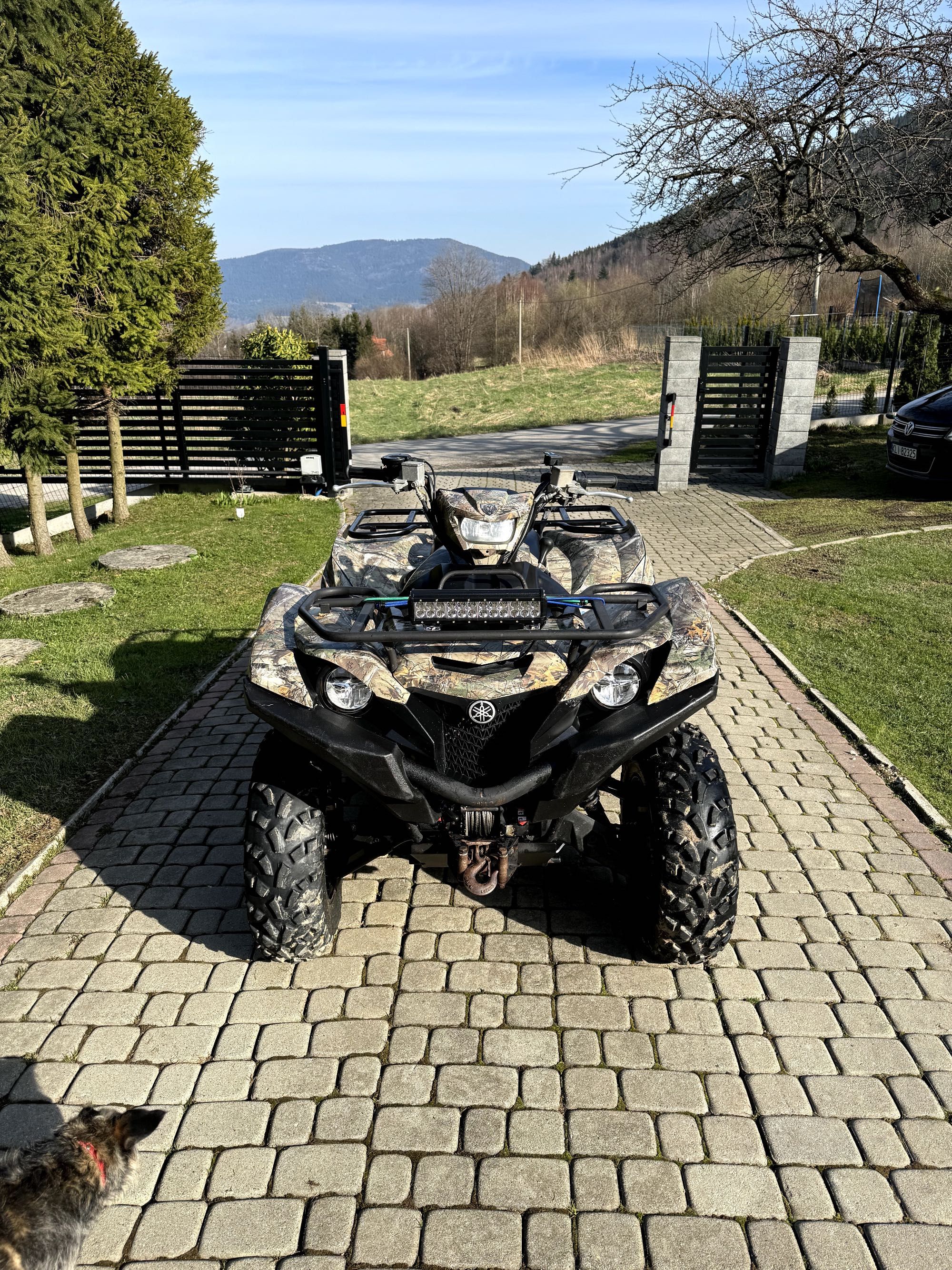 Yamaha Grizzly 700