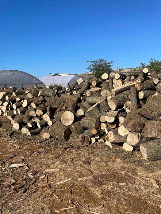 Дрова с доставкой!Смесь твёрдых пород! Оплата по факту 2 скм