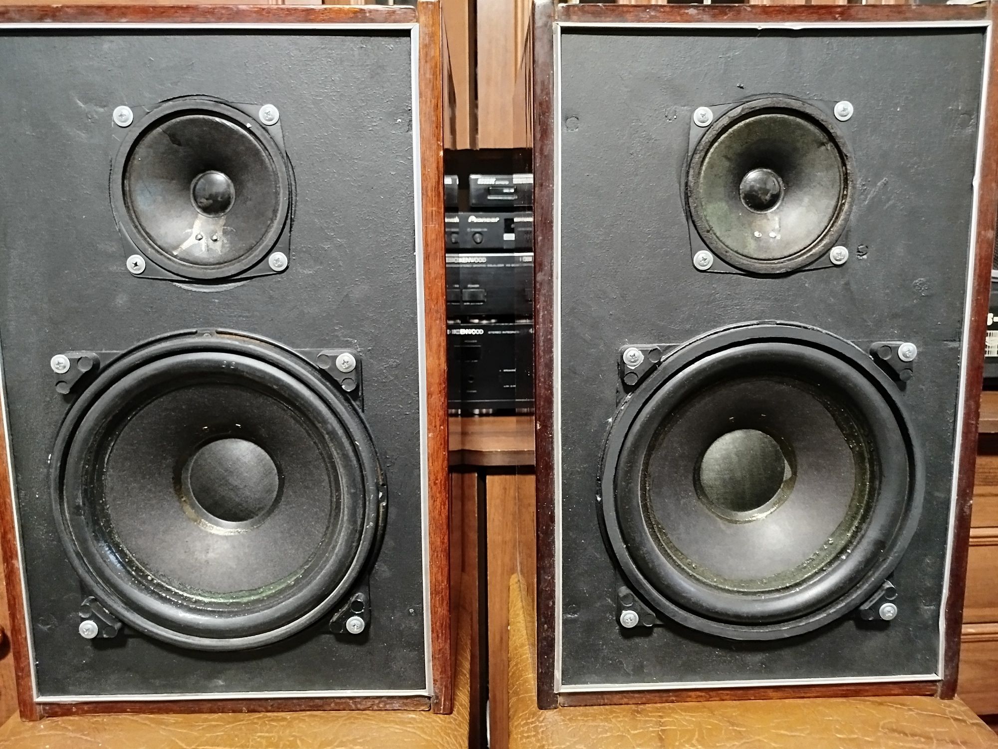 Колонки 10АС-401