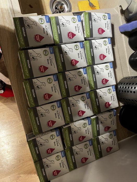 karma mokra dla szczeniat menu premium chicken 16 szt