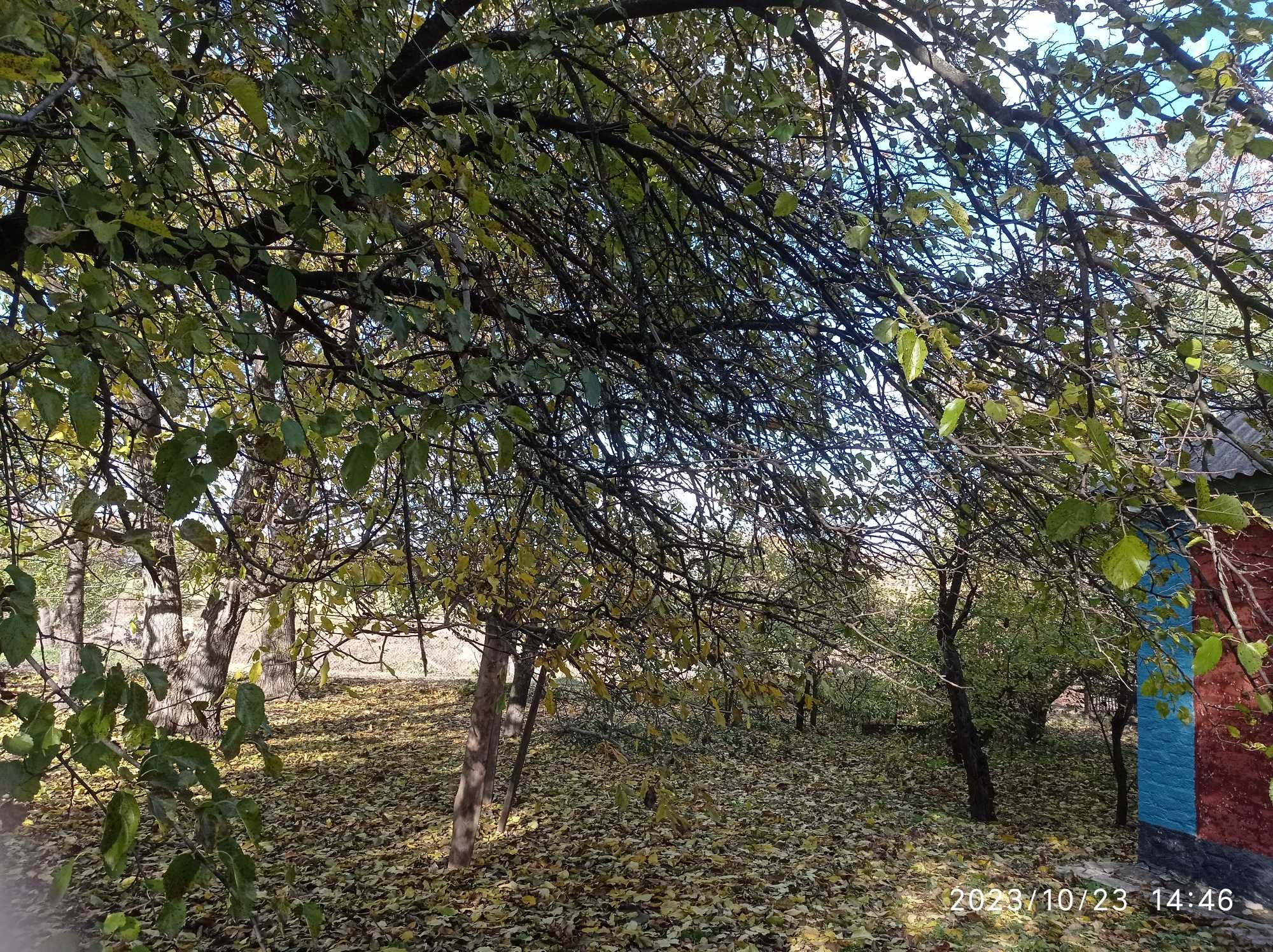Будинок ( с. Уманцівка )