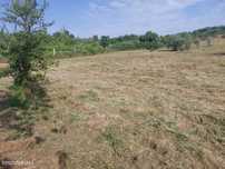 Terreno agrícola