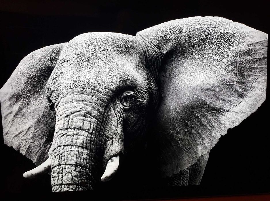 Microsoft Surface Pro‼️Max Config! (Core i7\16GB\512GB) +NEW BATTERY