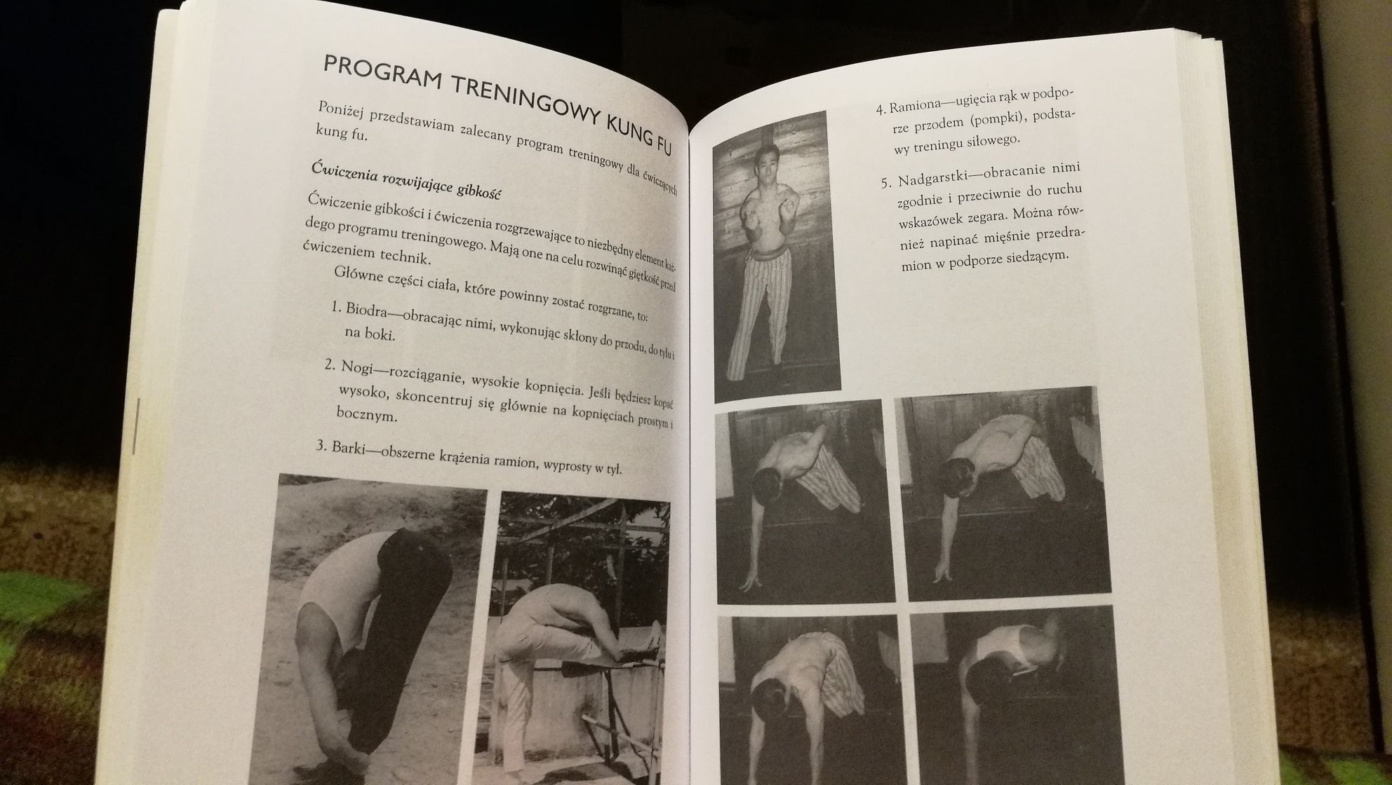 Bruce Lee Tao Kung Fu. Studia nad metoda Chinskiej sztuki