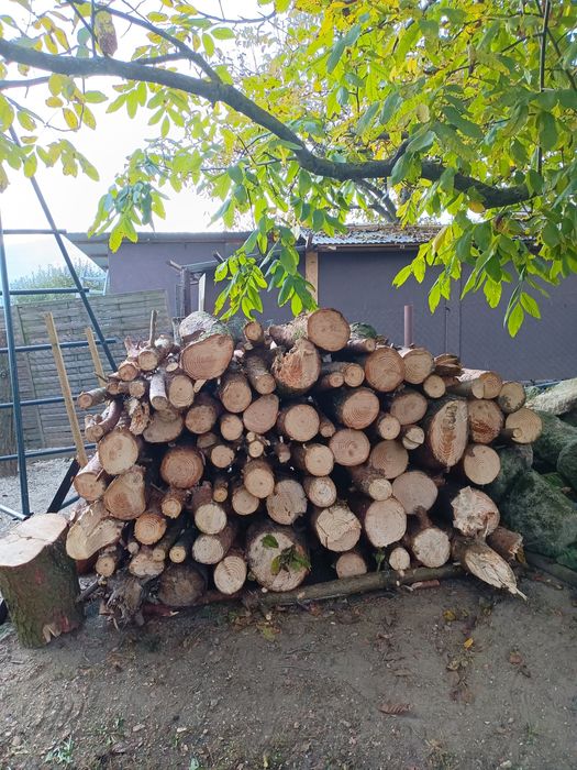 Drewno opałowe ok. 2,5 m3