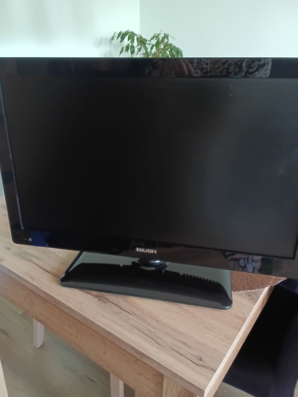 Telewizor z dvd 24' Bush
