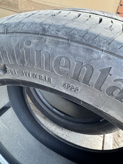 Continental ProContact RX 255.45.19