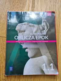 Język polski Oblicza epok 1.1