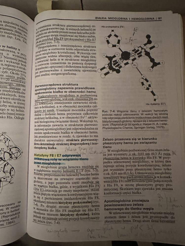 Biochemia Harpera wyd. V