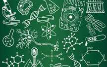 Korepetycje chemia i biologia | Indywidualny kurs maturalny