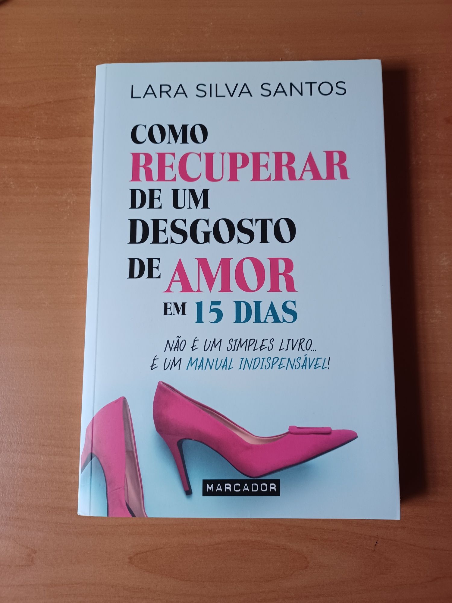 Como Recuperar de Um Desgosto de Amor em 15 Dias, Lara Silva Santos