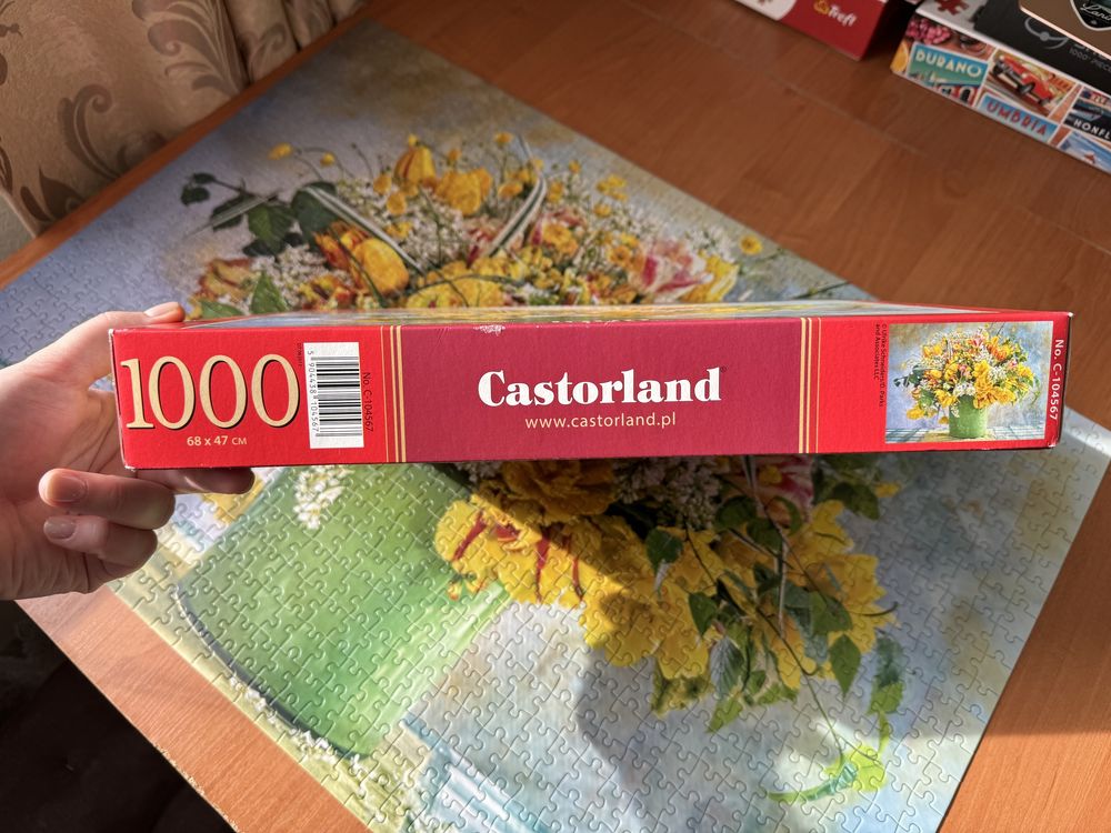 Пазлы Castorland на 1000 элементов
