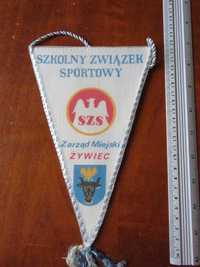 Szkolny Związek Sportowy Żywiec IX Wojewódzkie Igrzyska Młodzieży