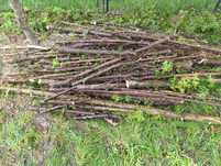 Oddam drewno za darmo
