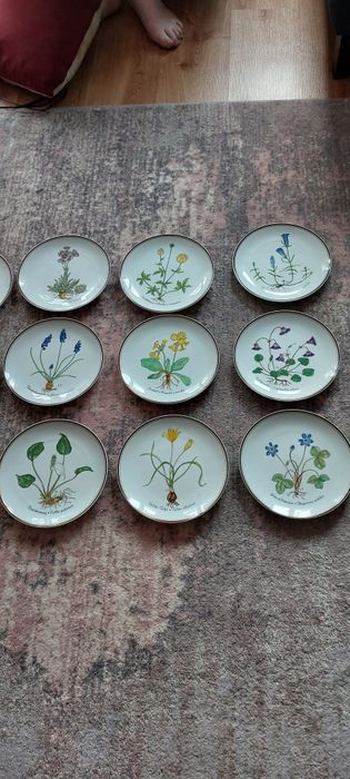 Rosenthal " Z miłości do natury" 12 talerzy