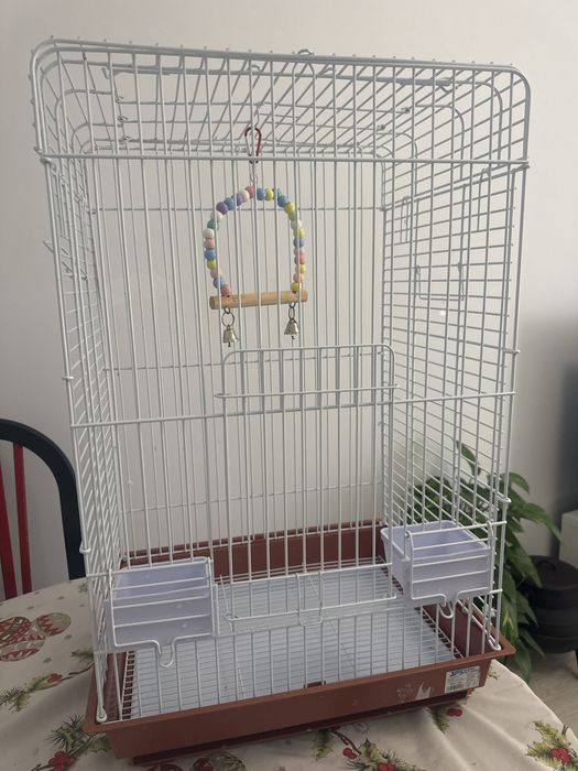 Gaiolas e casas para pássaros como nova .