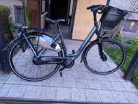 Rower Gazelle Orange C7+ damski