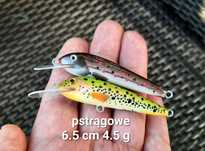 Pstrągowe 6.5 cm 4.5 g > max 1 m pływające