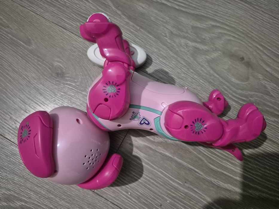 Pies Robot na pilota