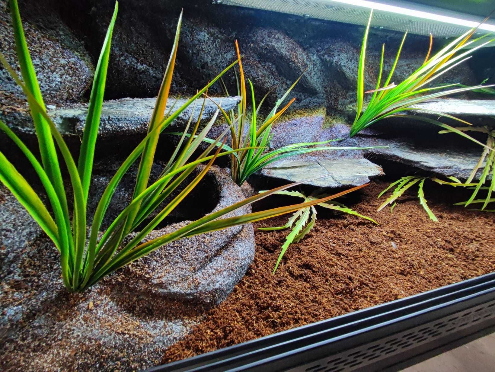Terrarium nr680 100/40/40 dla węża zbożowego boa pytona NA ZAMÓWIENIE