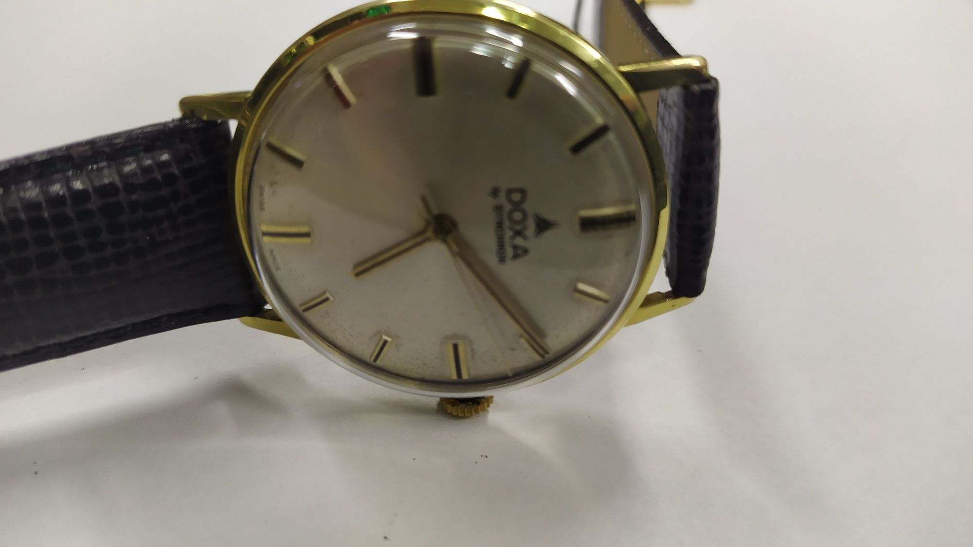 Doxa by Synchron