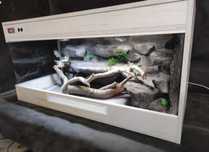 terrarium okazja