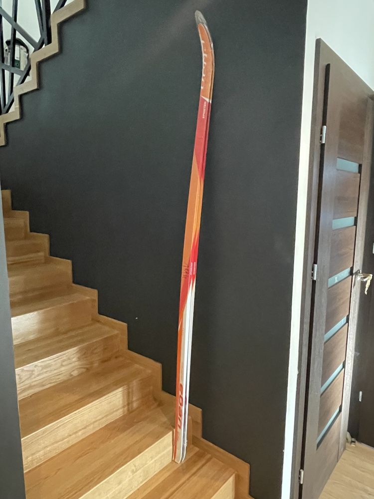 NOWE narty biegowe   Czeska Sporten VEGA  208 cm  BEZ łuski