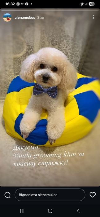 Професійний грумінг. Майстер з досвідом.