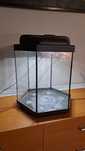 Terrarium lub akwarium małe dla skorpion lub modliszka