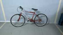 Bicicleta Antiga