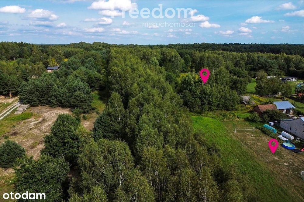 Działka 81 ar Rakszawa – przy asfaltówce, z lasem